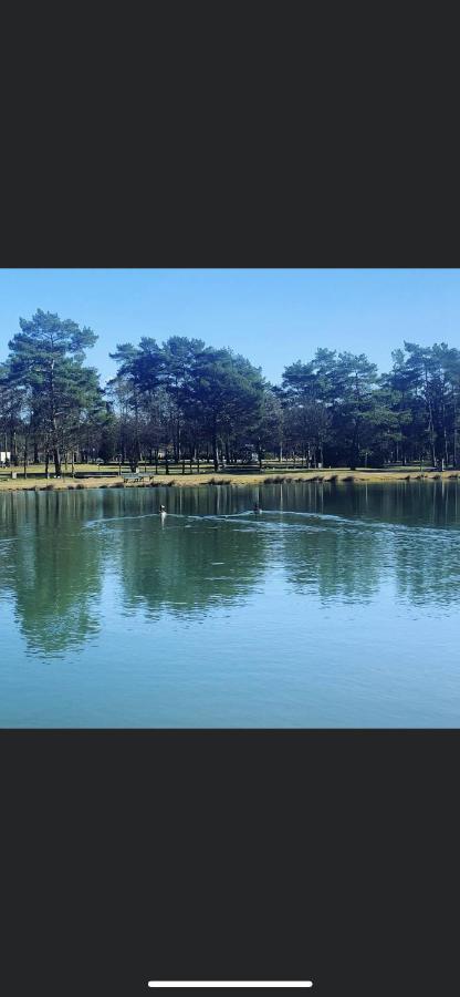 Luxuszelt Glampingzelt Heide - *